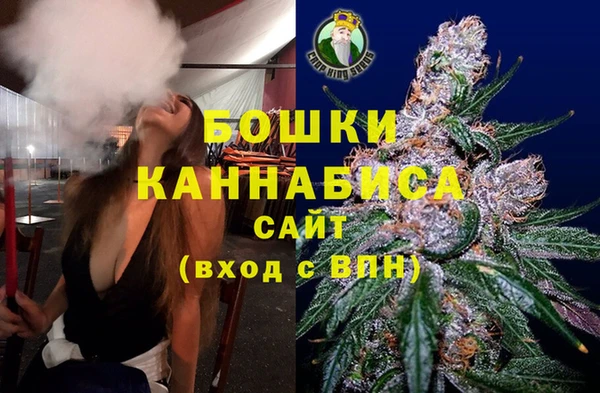 ГАЛЛЮЦИНОГЕННЫЕ ГРИБЫ Абаза