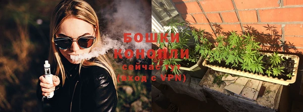 ГАЛЛЮЦИНОГЕННЫЕ ГРИБЫ Абаза